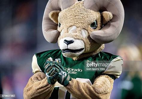 162 Colorado State Rams Mascot Stock Photos, High-Res Pictures, and Images - Getty Images