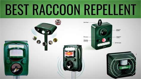 Raccoon Deterrent