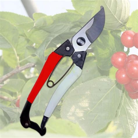 Garden Supplies 8inch Garden scissors Stainless steel scissors Garden ...