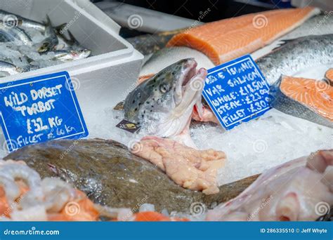 Iced Fish, Borough Market, London Stock Photo - Image of destination, food: 286335510