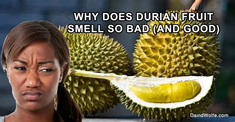 Durian Fruit - David Avocado Wolfe