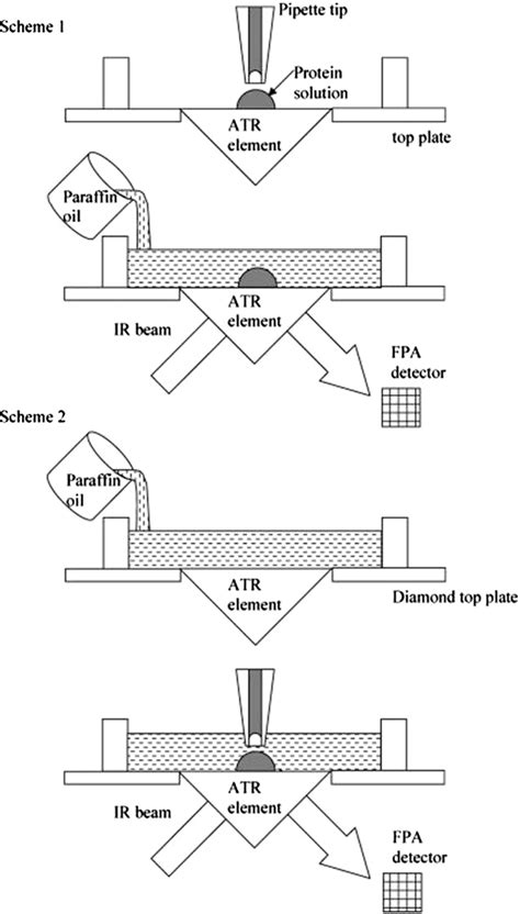 Figure 4 from Recent applications of ATR FTIR spectroscopy and imaging to proteins. | Semantic ...