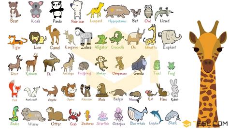 Wild Animals: List Of Wild Animal Names In English With Images - 7 E S L