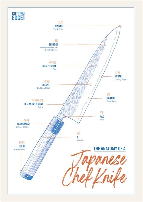 Anatomy of a chef knife poster – Cutting Edge Knives