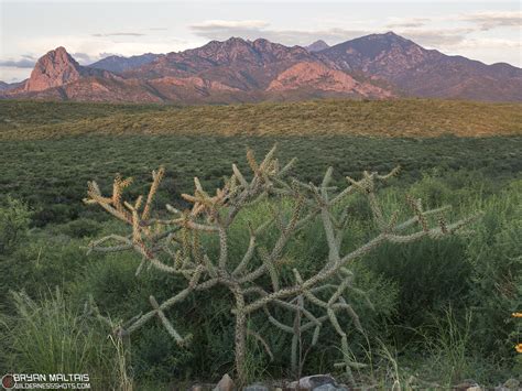 Santa Rita Mountains Arizona