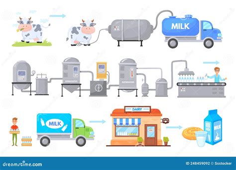 Cow Milk Production Process