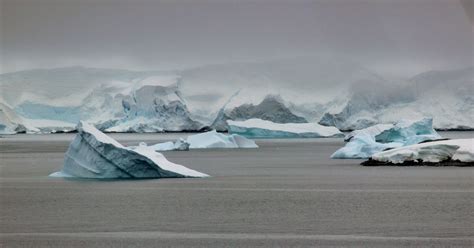 Large icebergs in the water in Antarctica image - Free stock photo ...