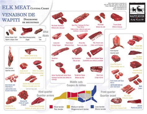 Elk Cuts Of Meat Diagram