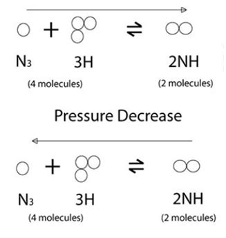 Dynamic Equilibrium | What Is It, Examples, Definition