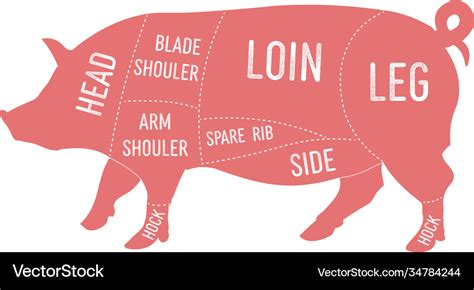 American primal pork meat cuts diagram Royalty Free Vector