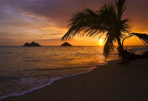 Sunrise At Lanikai Beach In Hawaii Stock Photo - Image: 7613248