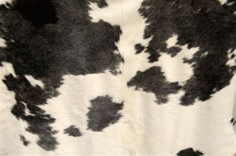 6 Ways Cowhide Patchwork Rugs Transform a Space - Cowhide Rug Tips and Resources