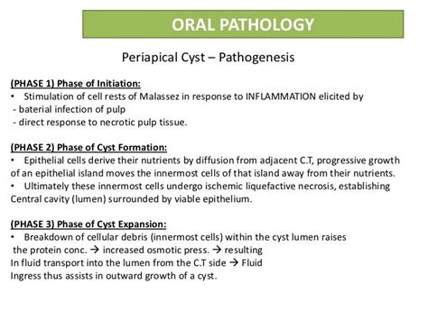 Radicular cyst or Periapical cyst