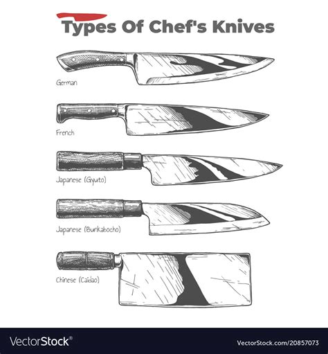 Types Of Kitchen Knife With Pictures | Besto Blog