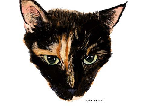 black and orange cat portrait by Joshua Jarrett on Dribbble