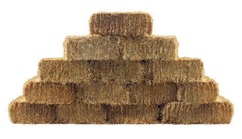 Why Do Bales of Hay Come in Different Shapes? | Wonderopolis