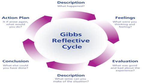 The 6 Stages Of Gibbs Reflective Cycle- A Complete Guide - DigitalGpoint