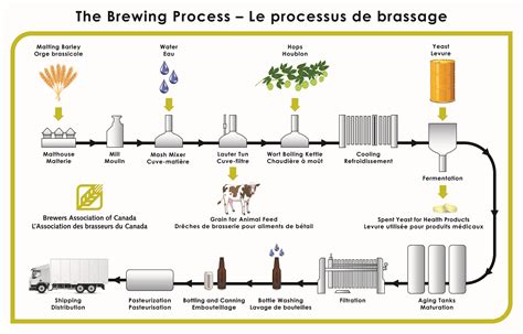 The Brewing Process | Brewing process, Craft beer tasting, Beer brewing