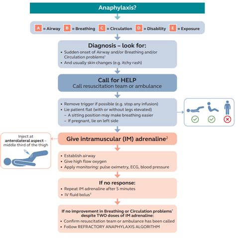 Treatment Guideline for Anaphylactic Shock 8 | Download Scientific Diagram