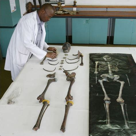 Controversy over Turkana boy exhibit in Kenya ~ Irtiqa