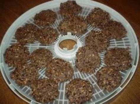 Easy Raw Food Recipes for Kids - HubPages