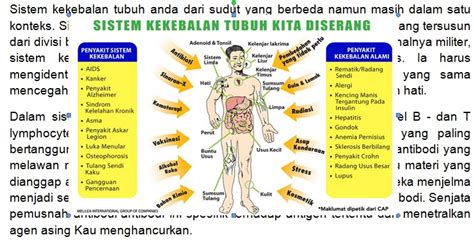 Sistem Kekebalan Tubuh Dan Pengaruh Pada Alergi - Diet Sehat