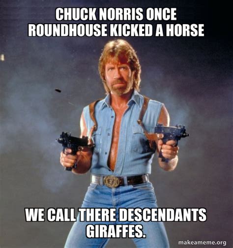 Chuck Norris once roundhouse kicked a horse We call there descendants giraffes. - Chuck Norris ...