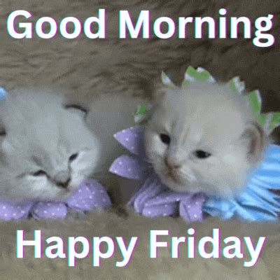 good morning funny friday gif | Lets Wake Up Early in the Morning