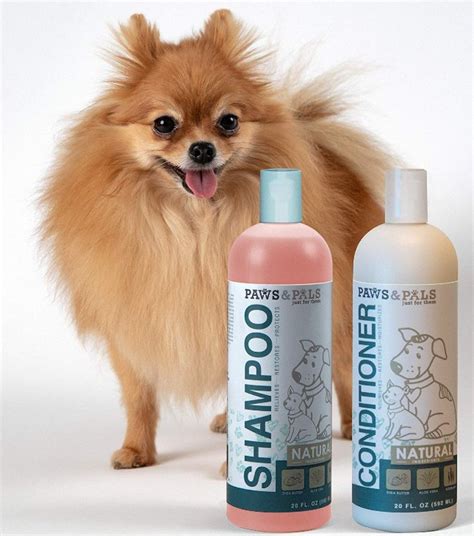 Dry Shampoo For Dogs: The Best Shampoo For Pets | Dogsrecommend