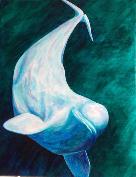 Beluga Wildlife Portrait of Beluga Whale by Jennifer Burke