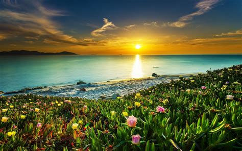 landscape, Nature, Beach, Sunset, Clouds, Sea, Sky, Flowers, Water, Colorful, Coast, Calm ...