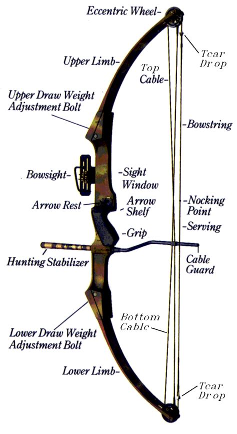 compound bow , its parts and characteristics