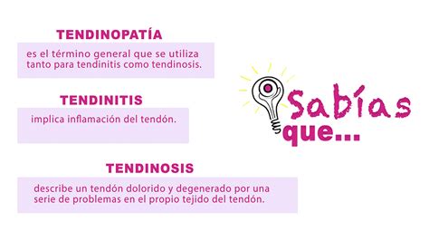 Diferencias entre Tendinopatia, tendinitis y tendinosis copia | Akro ...