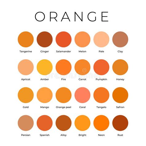 Orange Color Shades Swatches Palette with Names Stock Vector - Illustration of clay, colours ...