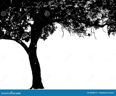 Landscape Of Tree On Jungle Silhouette Vector Illustration | CartoonDealer.com #91173034