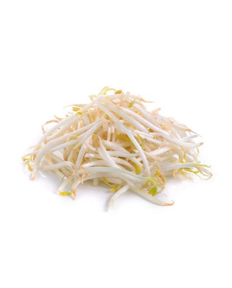 Bean Sprouts – Golden Farm Siam