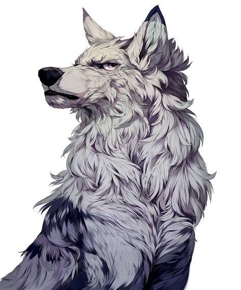 Wolf Illustration