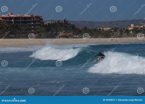 Surfing Costa Azul Los Cabos Mexico Stock Image - Image of cabos ...