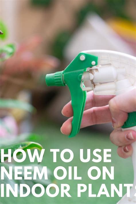 a person holding a green and white object with text overlay that reads, how to use nem oil on ...