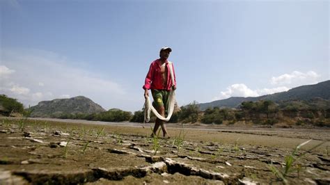 El Nino Climate Pattern Now Underway, NOAA Reports