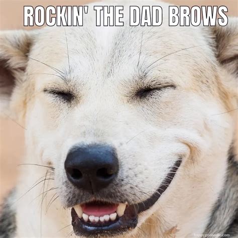 Smiling Dog Memes To Make Your Day Brighter 🤩 - Happy-Go-Doodle®