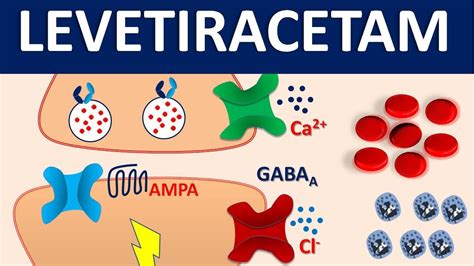 Levetiracetam (Keppra) - Mechanism, side effects, precautions and uses - YouTube