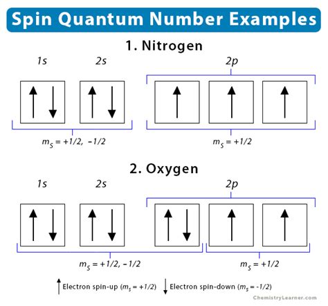 Spin Quantum Number: Definition, Significance, and Value