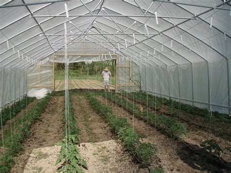 High Tunnel Gardening: What You Need to Know to Grow Successfully