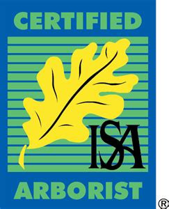 Society of Arboriculture Certified Arborist Logo PNG Vector (EPS) Free Download