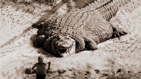 The Largest Crocodile In The World