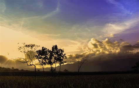 Banco de imagens : árvore, horizonte, nuvem, céu, dom, nascer do sol, Por do sol, campo ...