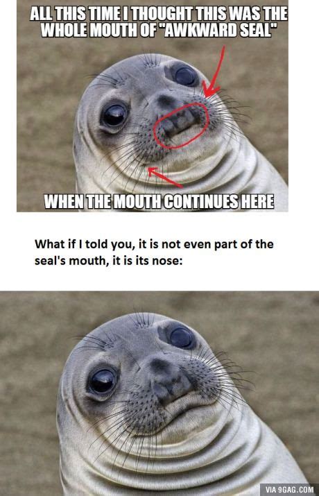 Awkward Moment Seal Meme Original