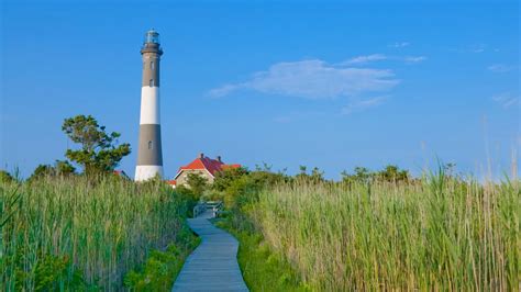 Fire Island National Seashore: New York's Natural Haven