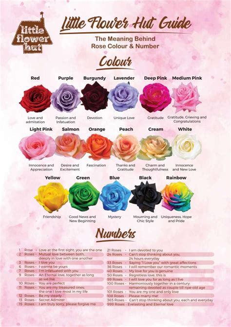 Rose Color Chart Meanings Yellow Rose Meaning, Rose Color